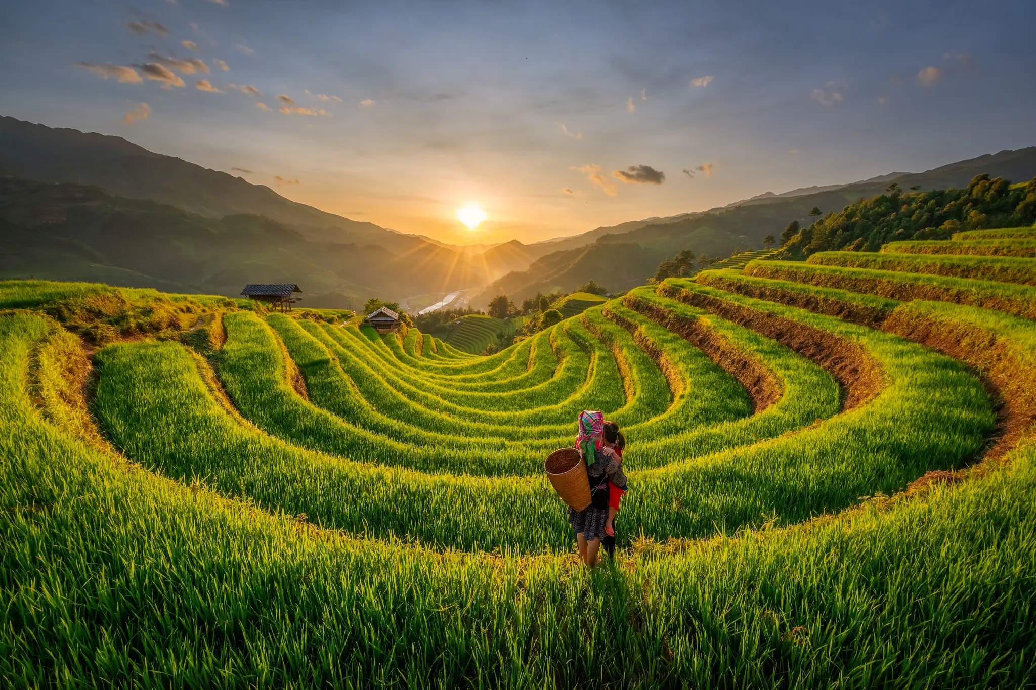 Garrya Mu Cang chai aerial